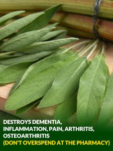 Everything you can do with this plant: all of Grandma’s uses – Best Recipes